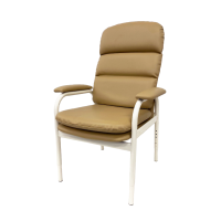 BC2 Vinyl Mocha - edited