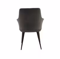 Byron-(A168)-Tub-Chair-Steel-Legs-Back-View