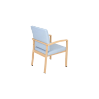 Eiko Armchair Back Angled View