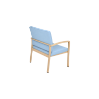 Eiko Bariatric Chair Back Angled View 1