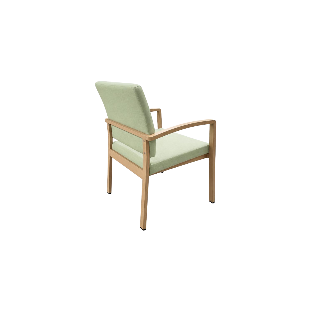 Eiko Bariatric Chair Back Angled View 2