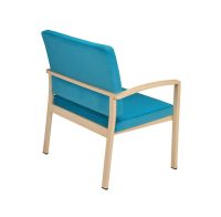 Eiko-Bariatric-YW5646-Back-Angled-View