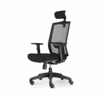 Kal Task Chair - with head back