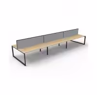 Loop-Double-Screen-6-User-1800-NO-BL-GR