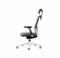 Move-with-Headrest-Side-View