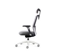 Move-with-Headrest-Side-View