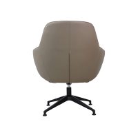 Mylee-(A146-2)-Swivel-Base-(Raised)-Back-View
