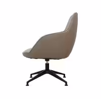 Mylee-(A146-2)-Swivel-Base-(Raised)-Side-View