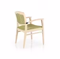 Regina-SG818C-Angled-Back-View