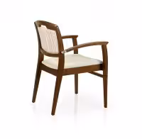 Regina-SG818CE-Angled-Back-View