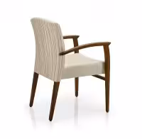 Regina-SG819CE-Angled-Back-View