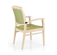 Regina-SG820C-Angled-Back-View