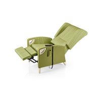 Regina-SG825RLELPG-Reclined