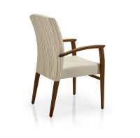 Regina-SG826CE-Angled-Back-View