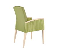 Regina-SG829HG-Angled-Back-View