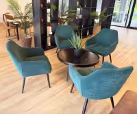 Sylvia Chair - Project from Curtin University_