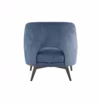 Piper XL (A151) Back View