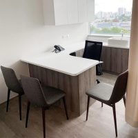 Mona Side Chair office