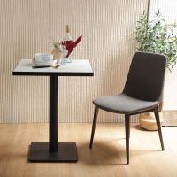 Mona Side Chair view