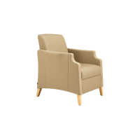 Janelle Lounge Chair SG998
