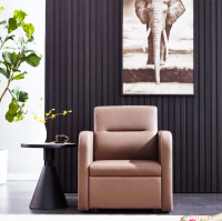 Medical Sleeper Lounge