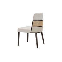 Aggy Side Chair M1177 ST Back Angled View
