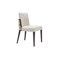 Aggy Side Chair M1177 ST Front Angled View
