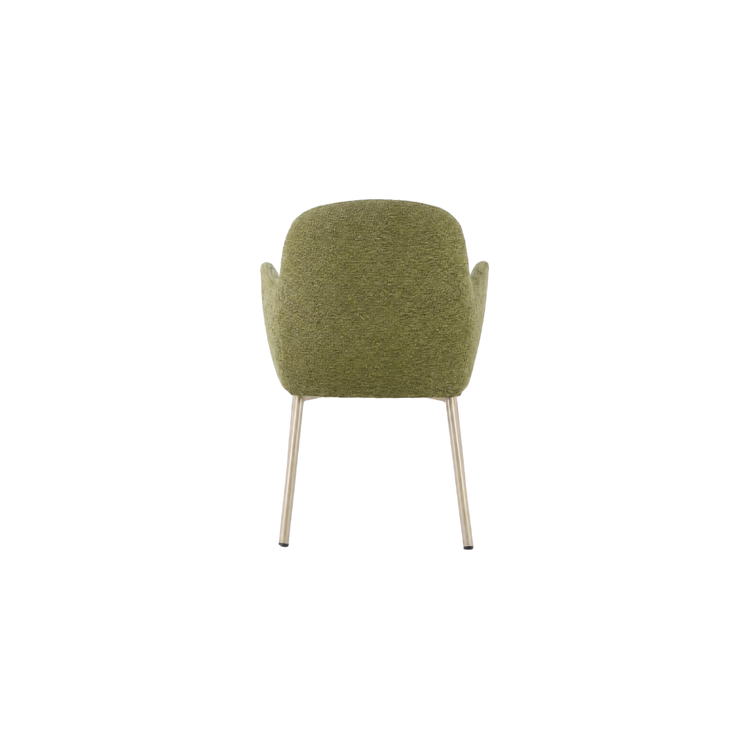 Petal Armchair A254 Back Angled View