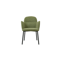 Petal Armchair A254 Front Angled View 3