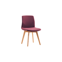 Rita Side Chair (Timber Base) - Velvet Fully Upholstered